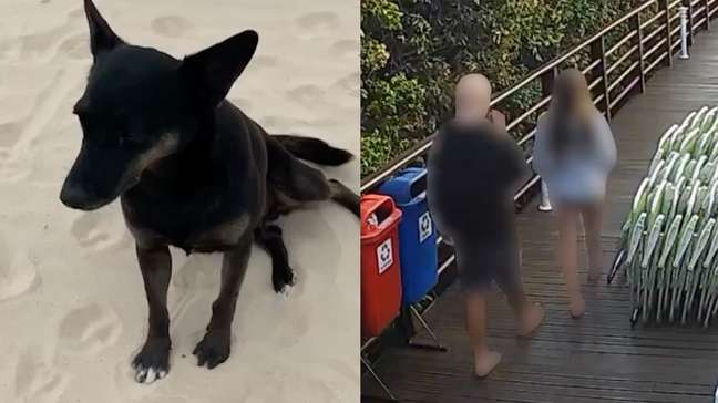 Polícia Civil de SC conclui inquérito sobre morte do cão Orelha e pede internação de adolescente