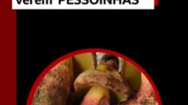 O cogumelo que faz as pessoas verem 'pessoinhas'