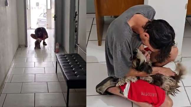Cachorrinha é devolvida ao verdadeiro tutor após teste da Polícia Civil em delegacia do RS; veja