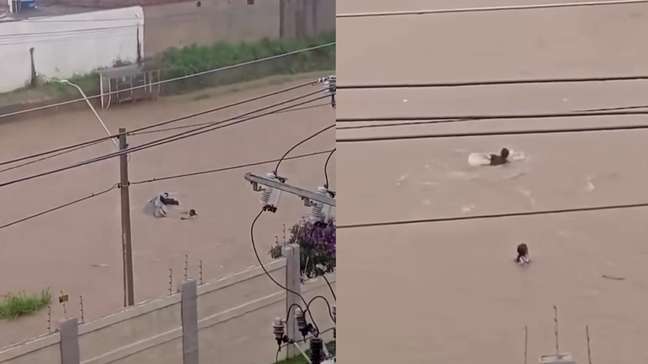 Mulher desaparece após ser arrastada por enxurrada em Vitória da Conquista (BA)