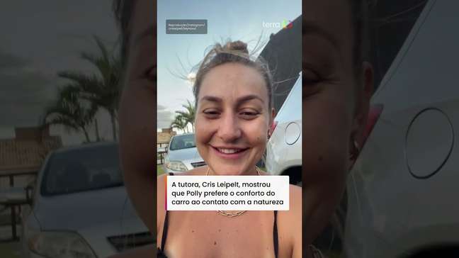 Cachorrinha "de apartamento" diverte ao se recusar a brincar na grama #shorts