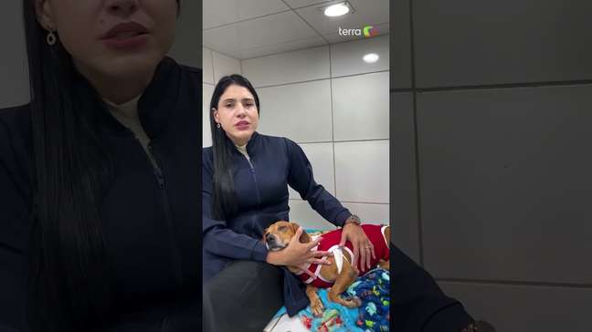 Cão comunitário atacado com líquido quente está com infecção generalizada #shorts