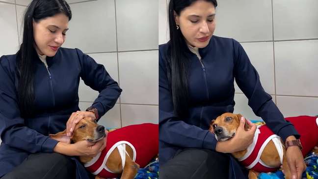 Cão comunitário atacado com líquido quente está com infecção generalizada