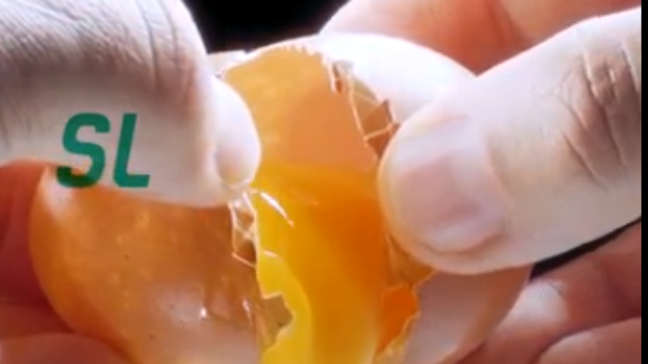 Ovo ajuda mesmo na hipertrofia? Veja os verdadeiros benefícios