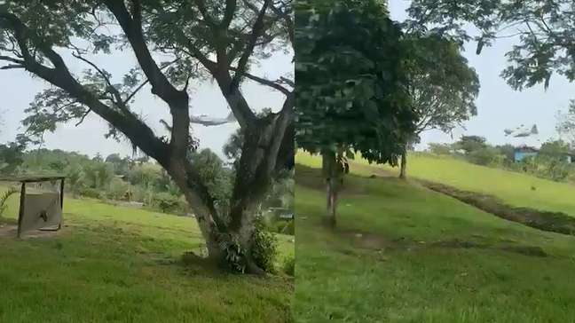 Vídeo mostra avião militar perdendo altitude antes de cair na Colômbia