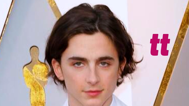 7 curiosidades sobre Timothée Chalamet que talvez você não saiba