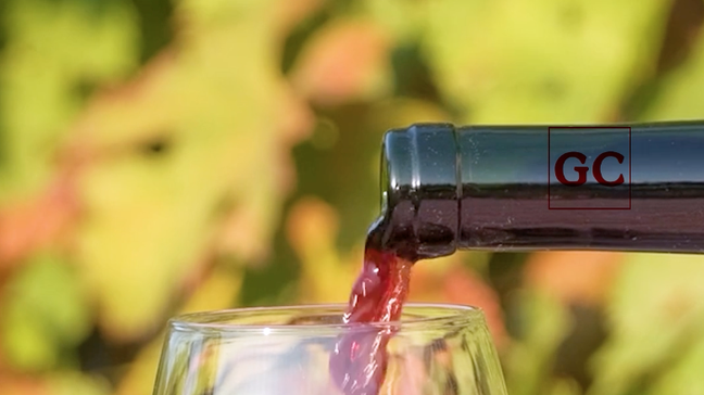 Vinho branco, tinto ou rosé: qual combina melhor?