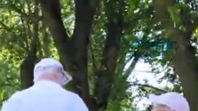 Envelhecer com liberdade: 5 dicas para manter autonomia e movimento