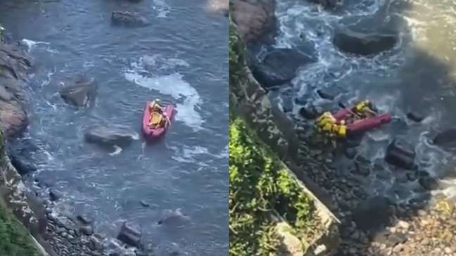 Homem se joga de precipício de quase 40 metros para fugir de ataque de abelhas no litoral de SP