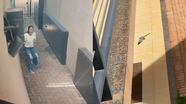Mulher escala portão para fugir de lagarto em condomínio no interior de SP