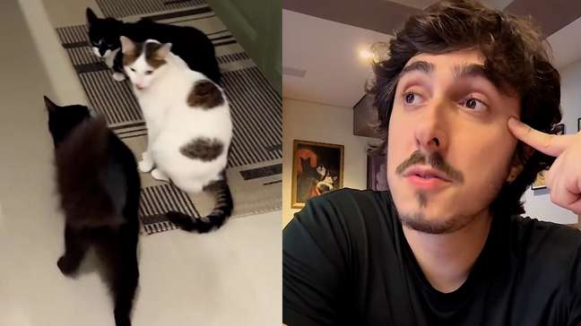 Felipe Castanhari relata perda de pet envenenado e faz alerta: ‘Era um gatinho saudável’