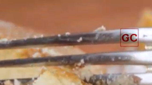 Seu bolo fica seco? Veja o que pode estar fazendo errado