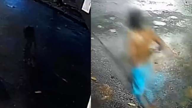 Homem mata capivara a pauladas em Boa Viagem, no Recife