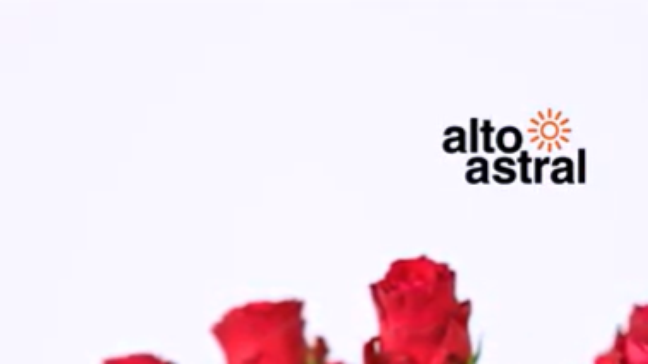 Quer viver um romance? Veja simpatias poderosas para atrair um amor