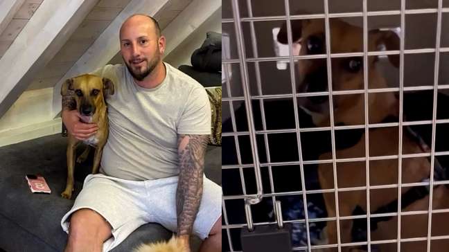 Vira-lata caramelo que vivia nas ruas de Fortaleza desembarca na Suíça após ser adotado