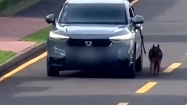 Motorista dirige com cachorro preso do lado de fora do carro e é investigado no PR