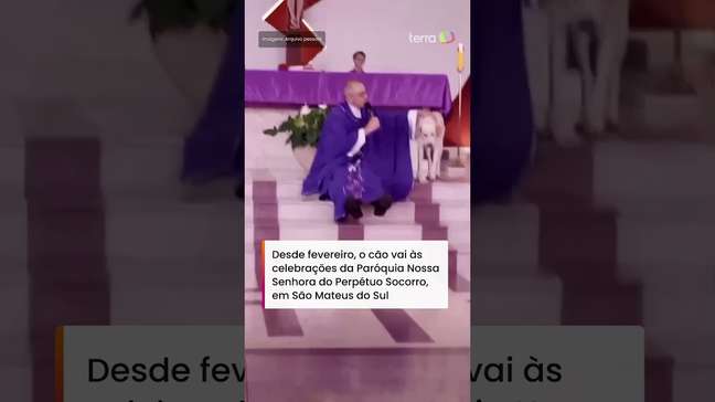 Cachorro caramelo passa a frequentar missas e conquista padre e fiéis no Paraná #shorts