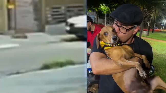 Cachorro que teve 40% do corpo queimado em Goiás aparece bem e recebendo carinho em novas imagens