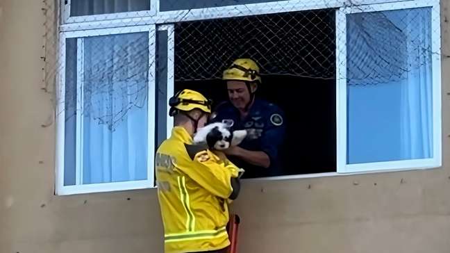 Moradores ficam feridos após prédio afundar em Itajaí