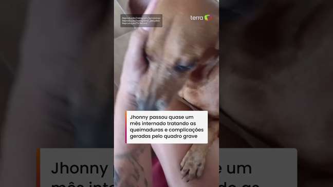 Cachorro que teve 40% do corpo queimado aparece bem e recebendo carinho em novas imagens #shorts