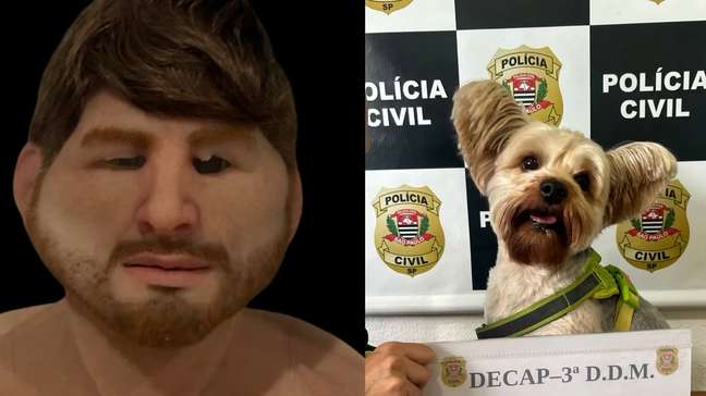 Homem usa disfarce para furtar cão de ex em pet shop de São Paulo