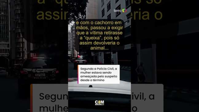 Homem usa disfarce para furtar cão de ex em pet shop de São Paulo #shorts