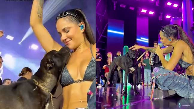 Cantora adota cachorro que subiu no palco durante show: “Nunca mais vai sentir medo e fome”
