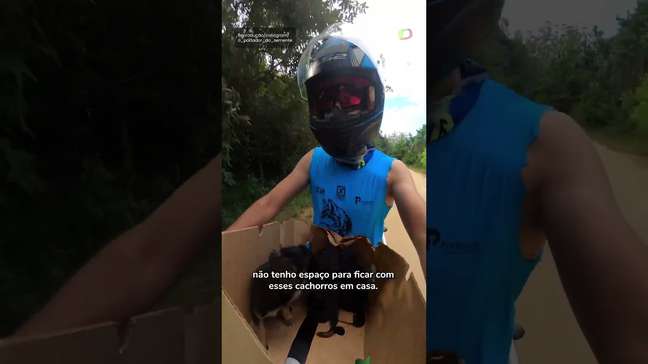 Atleta resgata três filhotes de cachorro durante uma trilha em SP e leva animais na moto #shorts