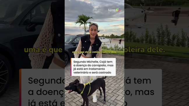 Cachorro adotado por cantora na Paraíba conhece 'irmãos' caninos: 'Merece essa vida boa' #shorts