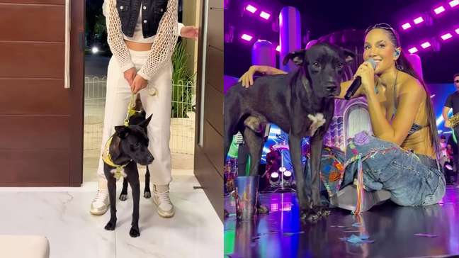 Cachorro adotado por cantora na Paraíba conhece ‘irmãos’ caninos: 'Merece essa vida boa'
