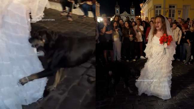 Cachorro invade ‘cena mais triste’ de peça teatral e leva público aos risos em MG