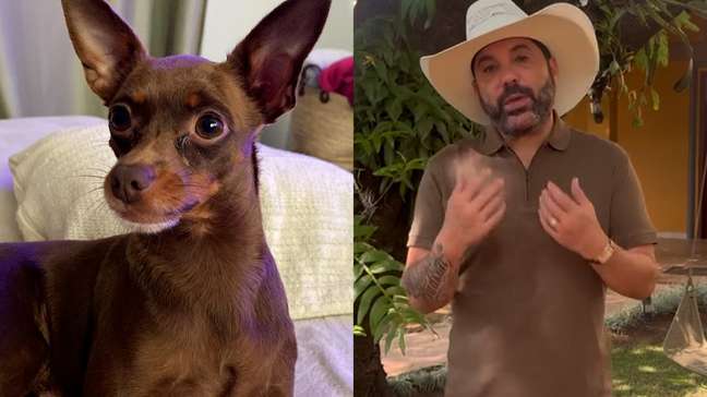 Cachorro de Edson, da dupla com Hudson, é encontrado morto após dias desaparecido