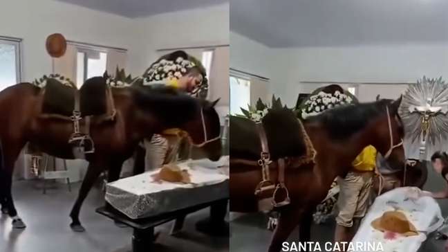 Égua relincha ao ver tutor em caixão e comove presentes durante velório em SC