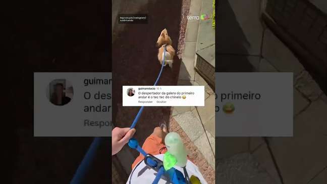 Influenciadores mostram cão de estimação correndo uma 'maratona' durante os passeios matinais#shorts