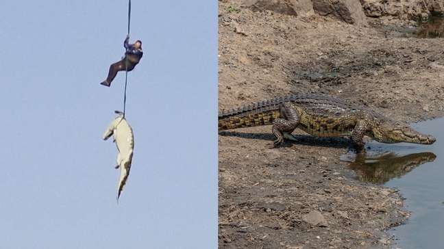 Entenda a história por trás da imagem do crocodilo içado por helicóptero na África do Sul