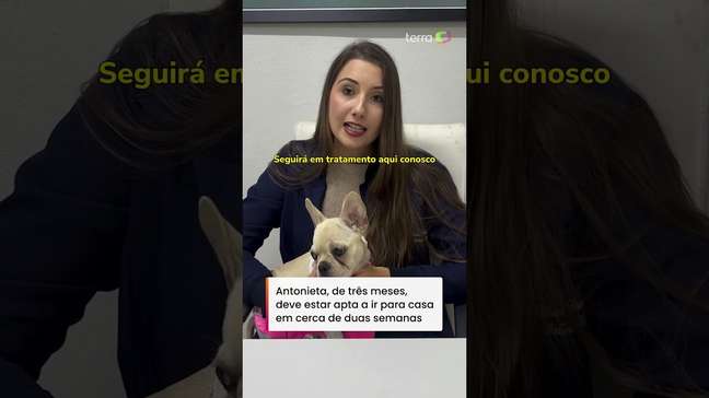 Cachorrinha que ingeriu crack recebe alta da UTI e será adotada por PM que fez o resgate #shorts