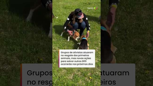 Cachorro resgatado de canil com histórico de maus-tratos tem reação emocionante ao ver o mar #shorts