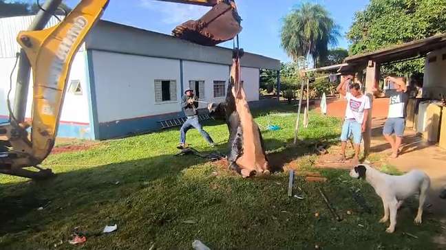 Com retroescavadeira, Corpo de Bombeiros salva vaca que caiu em fossa em MS; veja