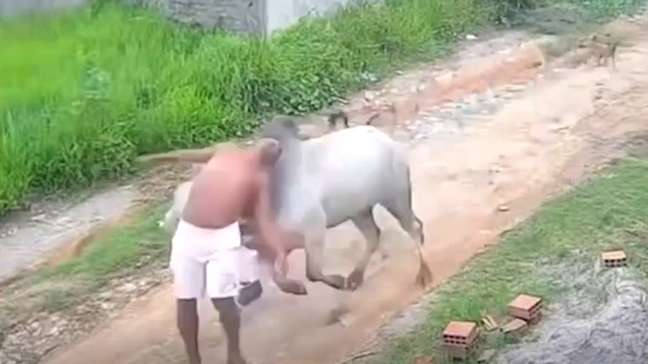 Homem é arremessado por boi durante ataque em rua de Pernambuco