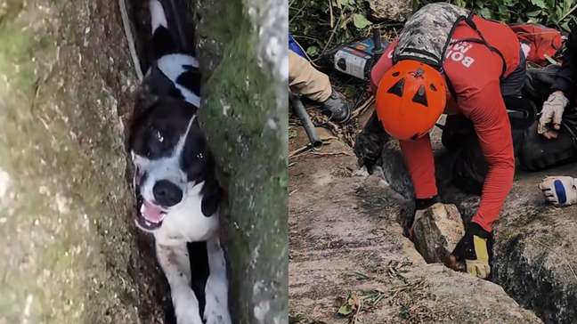 Cachorrinha é resgatada após ficar 3 dias presa entre rochas no Espírito Santo