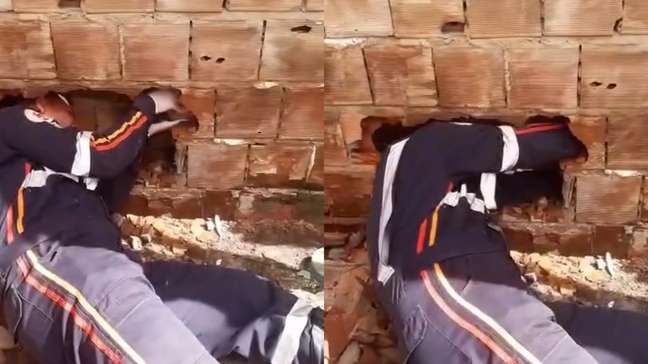 Vídeo mostra resgate de bebê encontrado abandonado entre paredes na PB; recém-nascido não resistiu