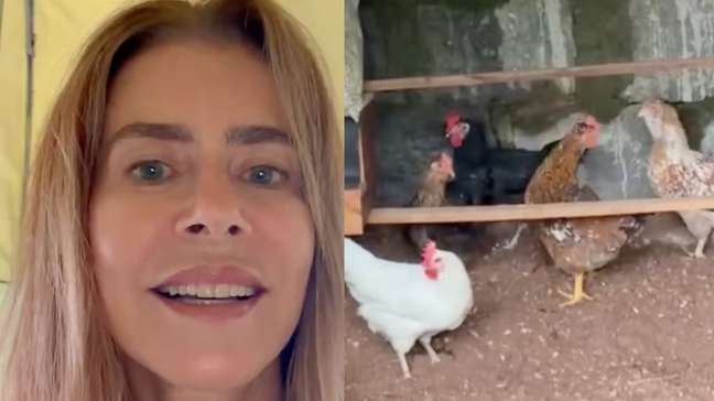 Maitê Proença mostra vida no campo após vender apartamento por mais de R$ 4 milhões