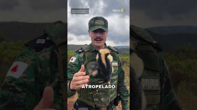 Tenente da Polícia Militar viraliza ao compartilhar resgates de animais em Minas Gerais #shorts