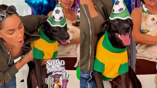 Cachorro acolhido por cantora na Paraíba ganha festa de mesversário de adoção