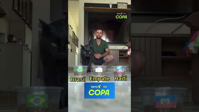 Após acertar empate com Marrocos, gato 'vidente' prevê vitória do Brasil contra o Haiti na Copa