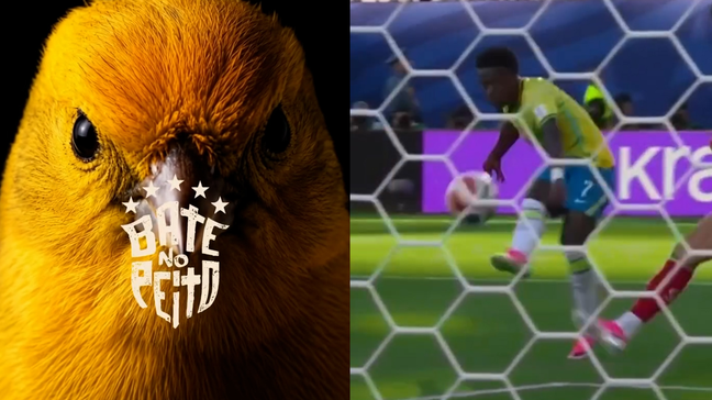 Com pássaros e gol de Vini Jr, CBF anuncia chegada da Seleção à Filadélfia para jogo contra o Haiti