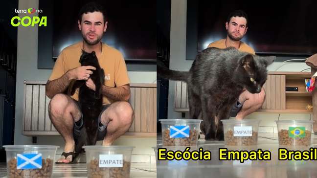 Gato ‘vidente’ prevê vitória do Brasil contra Escócia e tenta terceiro acerto seguido
