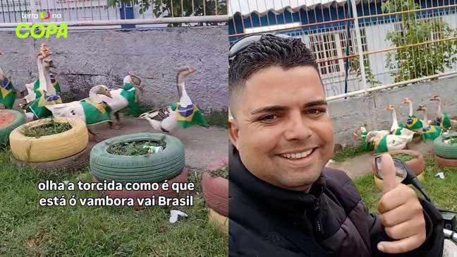 Grupo de gansos com bandeiras do Brasil viraliza após 'desfile' em bairro do Rio