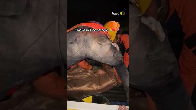Bebê recém-nascido e mãe são resgatados com vida em meio aos escombros na Venezuela #shorts