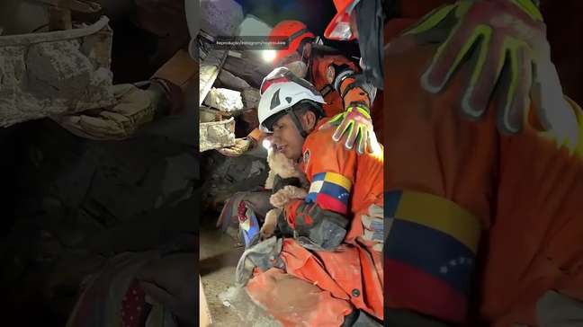Cadelinha presa sob escombros de terremotos na Venezuela é resgatada após operação de cinco horas